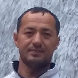 ����, ������, 39 ���