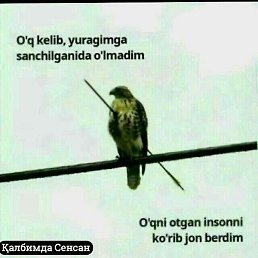 �����, �����, 47 ���