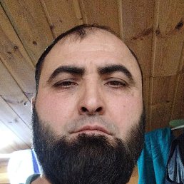 ����, ������, 41 ���