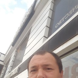 ���� ����, �����������, 43 ���� - ��������� 18 ������ 2023