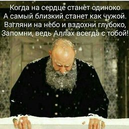 ���� �����, �����-���������, 41 ��� - ��������� 25 ���� 2023
