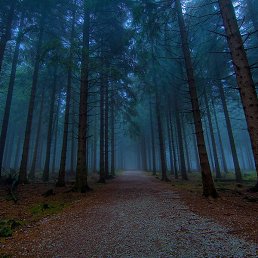 ���, ������, 28 ���