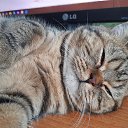 ���� Sergey, ������������, 69 ��� - ��������� 22 ��� 2023