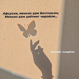 Zilola, �����, 31 ���