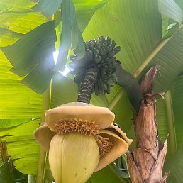 ����, ������, 44 ����