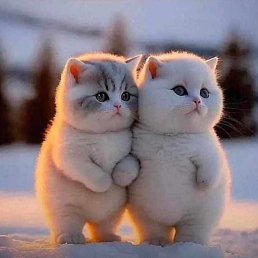 ���� �����, ������, 35 ��� - ��������� 7 ����� 2023