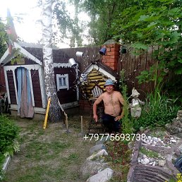 ���� ������, ������, 51 ��� - ��������� 6 ������� 2023