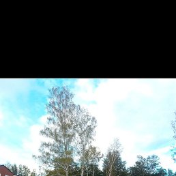 �������, �����������, 41 ���