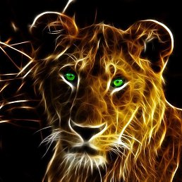 �����, ������, 54 ����