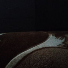 Danil, ���������, 24 ����