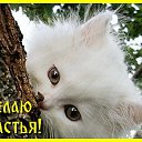 ���� ���������, ���������� - ��������� 8 ����� 2023 � ������ ������ ��������