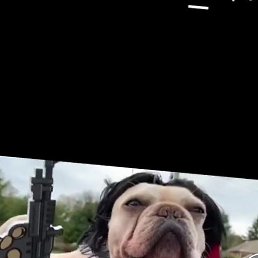 ����, ������, 36 ���