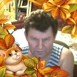 ���� ����, �����������, 74 ���� - ��������� 3 ����� 2023