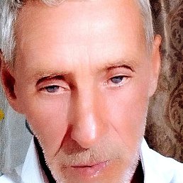 ����, ������, 49 ���