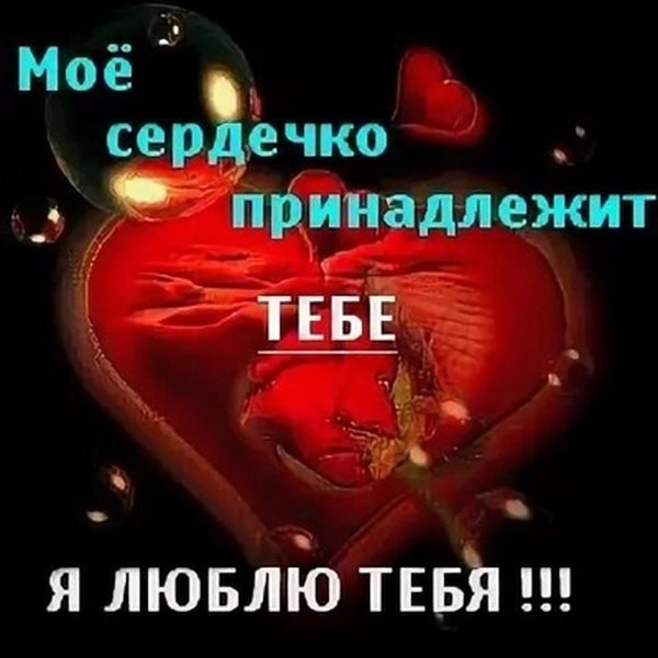 Скачать фото оля ты моe сердце