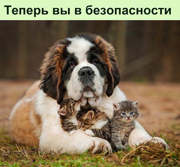 ����� �� ����� ����������� � ���� �����������, �� ������ �������� ����� ������� ��� ������ �������