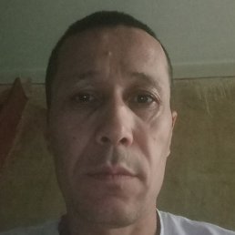 �����, ������, 48 ���