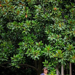 �����, �����-���������, 48 ���