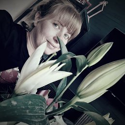 �����, ������, 45 ���