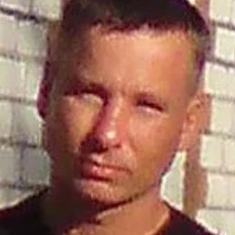 �����, ������, 48 ���