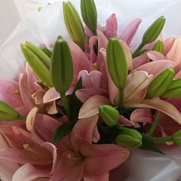 ���� Svs, ������ ��������, 42 ���� - ��������� 29 �������� 2023