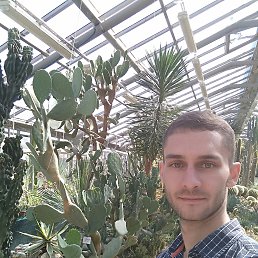 ���� ����, �����-���������, 36 ��� - ��������� 30 ���� 2023