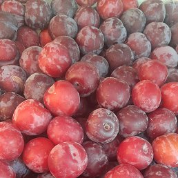 ���� �����, ������, 36 ��� - ��������� 12 ���� 2023