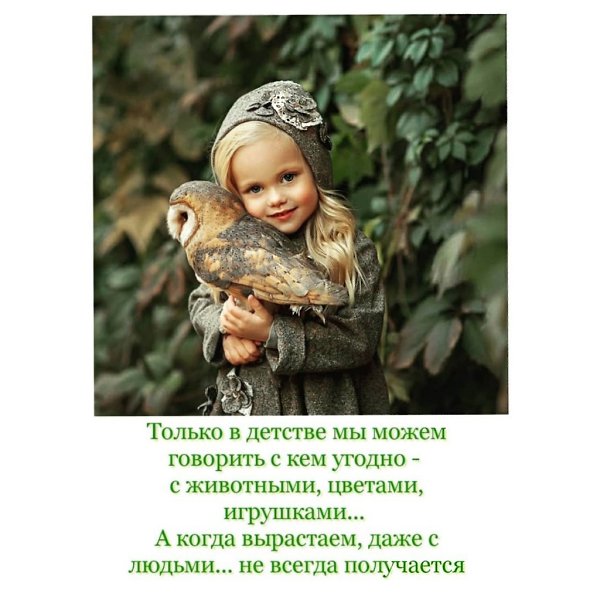   - 6  2023  16:23