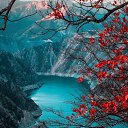 ���� Shamal, �����, 58 ��� - ��������� 22 ����� 2023 � ������ ���� ����������