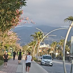 ���� ��������, ������, 55 ��� - ��������� 7 ��� 2023