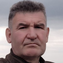 ������, ���������, 56 ���