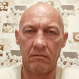 ������, ������, 49 ���