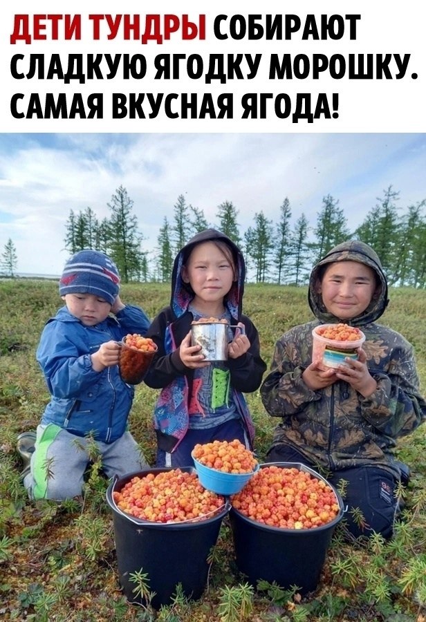 Намазываешь сливки и поверх морошковое варенье ... | Оптимист ...