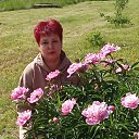 ���� �����, ����������, 48 ��� - ��������� 30 ���� 2023