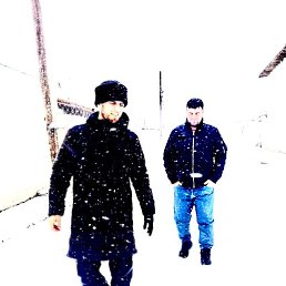 �����, ������, 40 ���