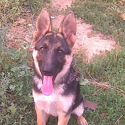 ������, ������ ��������, 56 ���