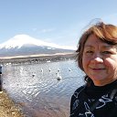 ���� �������, ����, 62 ���� - ��������� 7 ��� 2023 � ������ ���� ����������