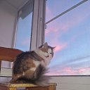 ���� �������, �����-���������, 58 ��� - ��������� 9 ��� 2023