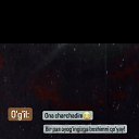 ���� Ali, �������, 29 ��� - ��������� 2 ������� 2023 � ������ ���� ����������