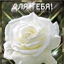 ���� �������, �����, 48 ��� - ��������� 10 ��� 2023