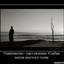 ���� ��������, ������ ��������, 49 ��� - ��������� 8 ��� 2023