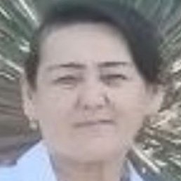 �������, �������, 66 ���