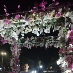 ������, ������, 29 ���