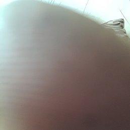 ����, ������-��-����, 38 ���