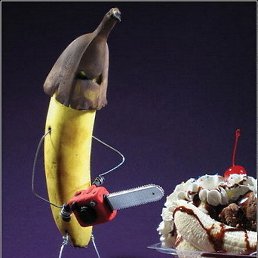 �����, �����������, 42 ����