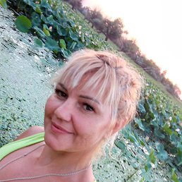 ����, ���������, 47 ���