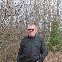 �����, ��������, 46 ���