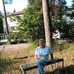 ���� �����, ������-��-����, 66 ��� - ��������� 29 �������� 2023