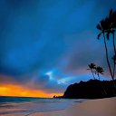 ���� �����, ����, 33 ���� - ��������� 1 ��� 2023 � ������ ������ ��������