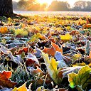 ���� Evi, ������ - ��������� 10 ������� 2023 � ������ ���� ����������